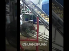 মঙ্গো পল্প কিভাবে তৈরি করা হয়?