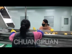 ফ্যাক্টরিতে কীভাবে ফলের রস তৈরি করা হয়?আসুন দেখি মরিচ রস প্রক্রিয়াকরণ লাইনটি কীভাবে কাজ করে