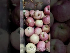 আপনি কি এইচপিপি রস জানেন? আসুন দেখি কিভাবে আপেল রস উৎপাদন লাইন কাজ করে