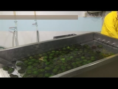 কিভাবে এইচপিপি বা শীতল অ্যাভোকাডো পল্প প্রক্রিয়া করবেন?