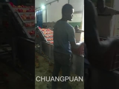 চলুন, আমরা আফ্রিকায় একটি মাঝারি ধরনের টমেটো পেস্ট উৎপাদন লাইন দেখি।